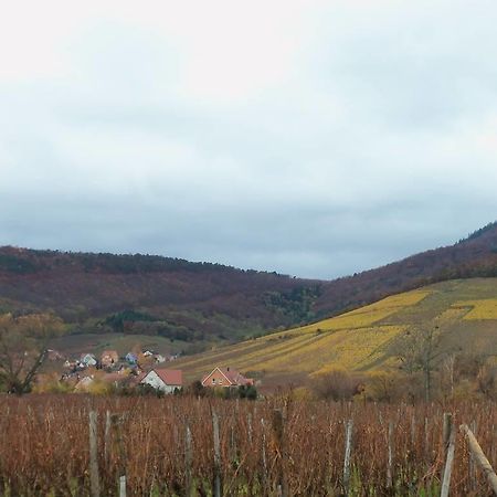 Apartment Route Du Vin Centre Alsace Оршвіллер Номер фото